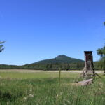 Ploužnice Game Preserve
