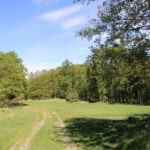 Game Preserve Víno
