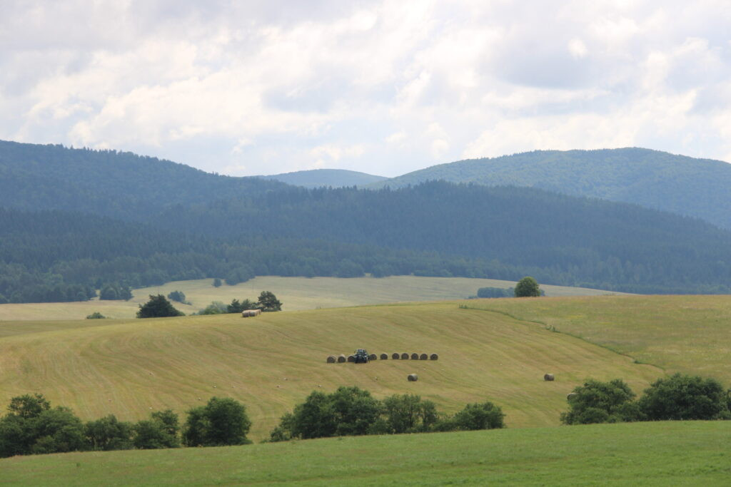 Hunting area of the Polish Bieszczady ✅ Deer hunting in Poland ✅