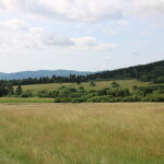 Hunting Poland Red Stags