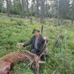 Hunting Poland Red Stags