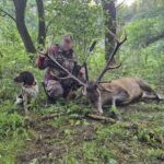Hunting Poland Red Stags
