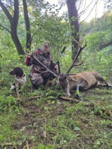 Red stag hunt in Poland 2026 0